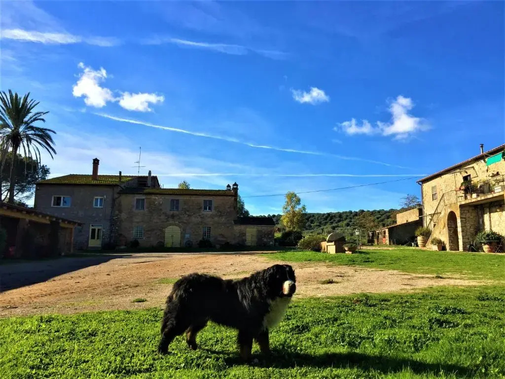 Agriturismo La Valentina Nuova