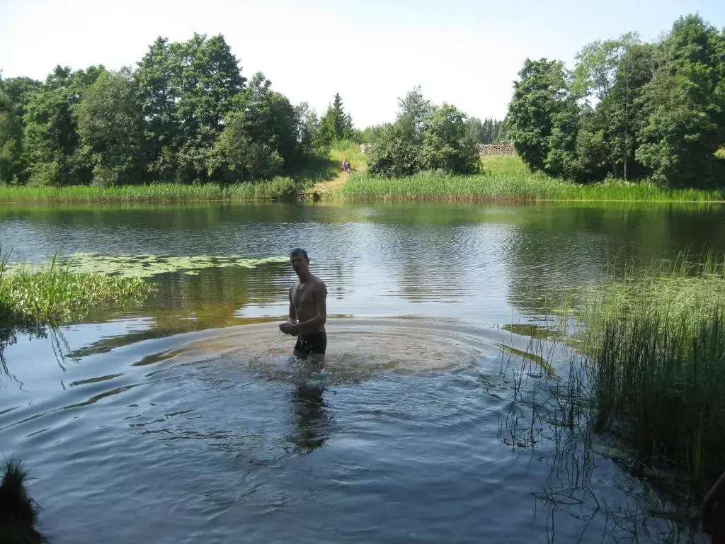 Saule