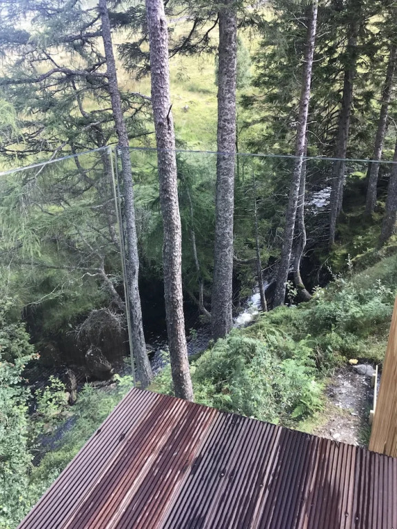 Red Stag with stunning loch and waterfall view