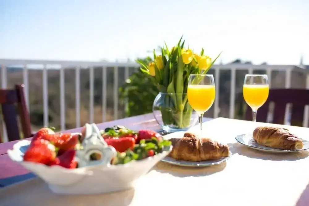 Villa Luce Konavoka - Three Bedroom Villa With Terrace and Swimming Pool ID Direct Booker 3845