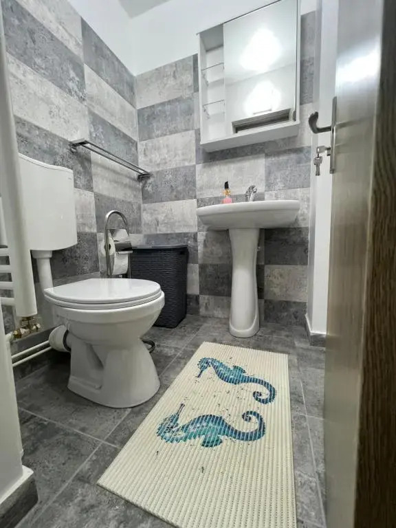 Apartament Elena