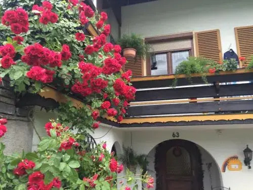 Appartement Aich-Assach