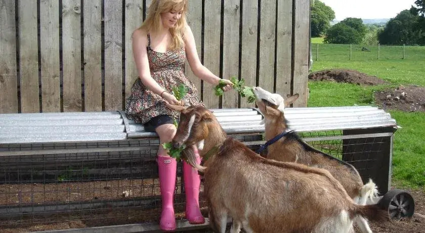 Yew Tree Farm