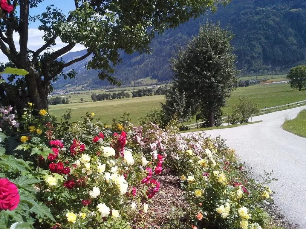 Appartement - Ferienwohnung Waldrand