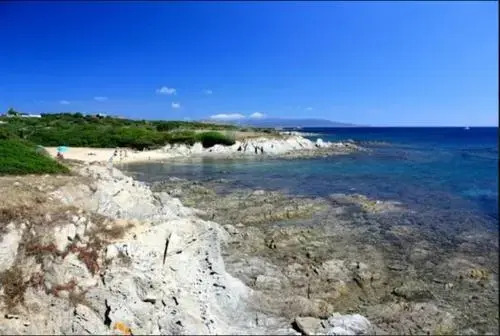 Lentischi