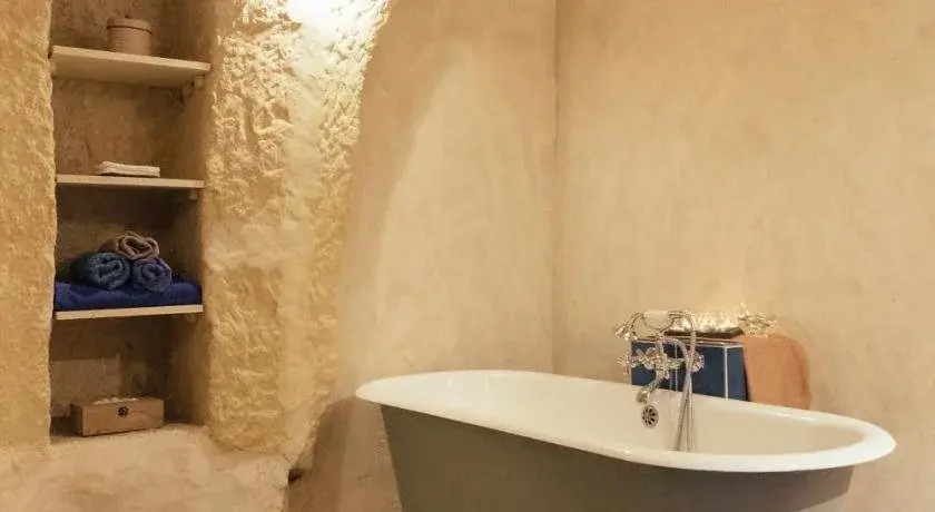 Amboise Troglodyte