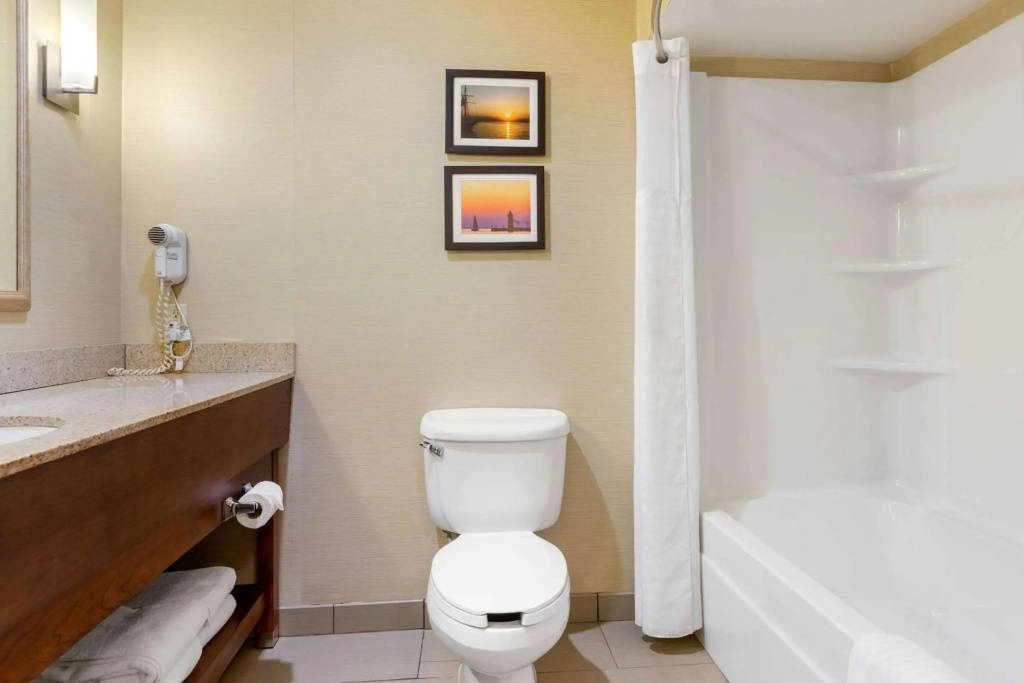 Comfort Suites South Haven near I-96