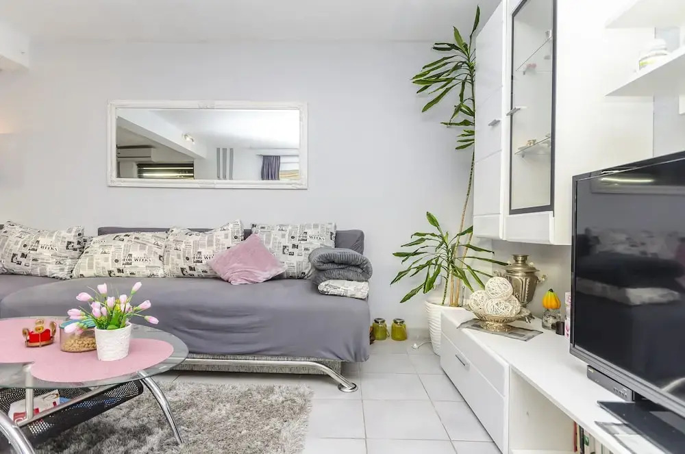 Apartment Branislava
