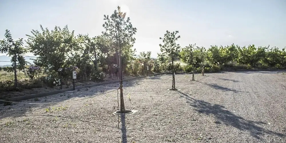 Agriturismo Macchia di Riso