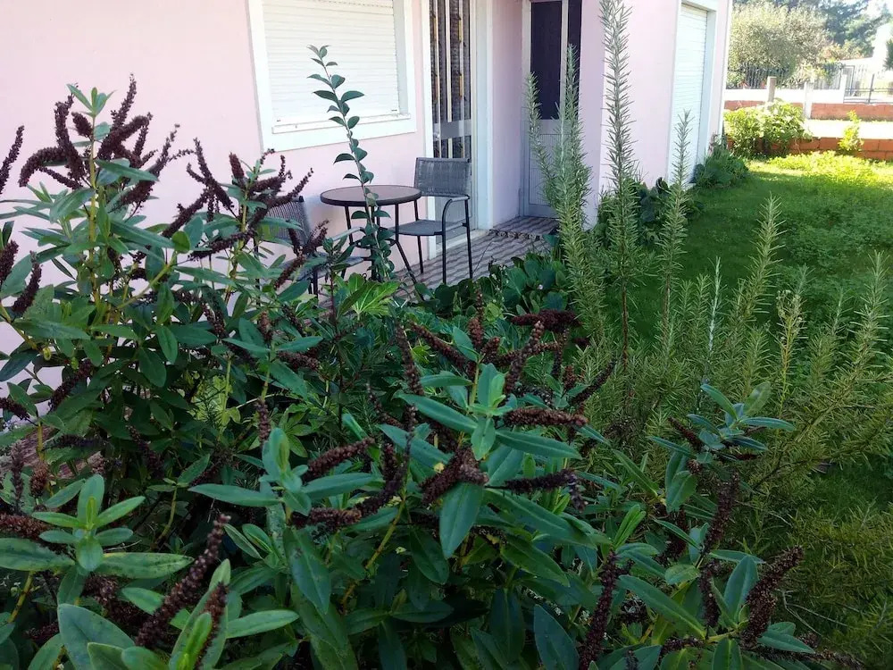 House With one Bedroom in Ponte de Vagos, With Enclosed Garden and Wif