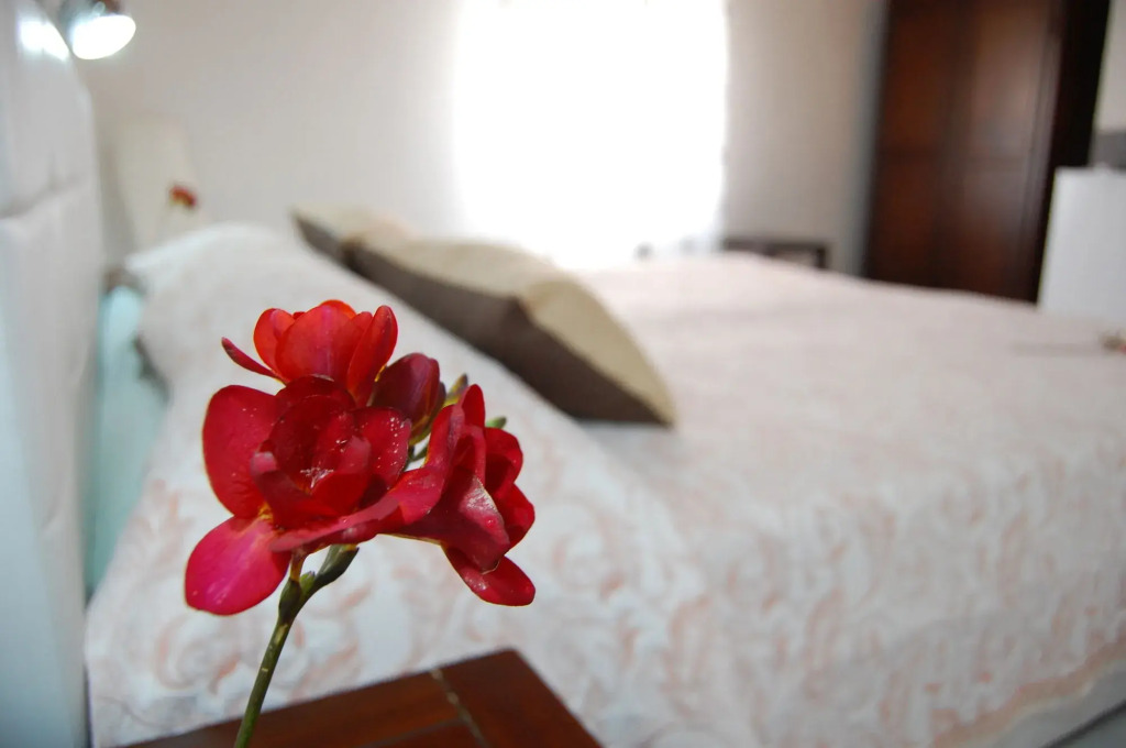 Il Mirto E La Rosa