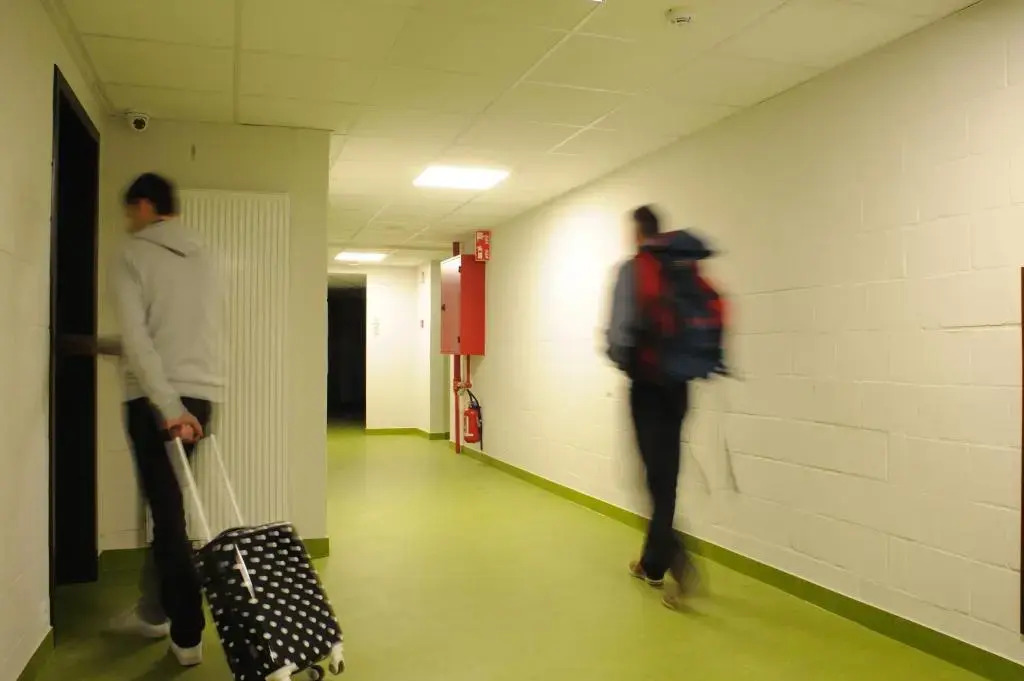 Hostel Bruegel