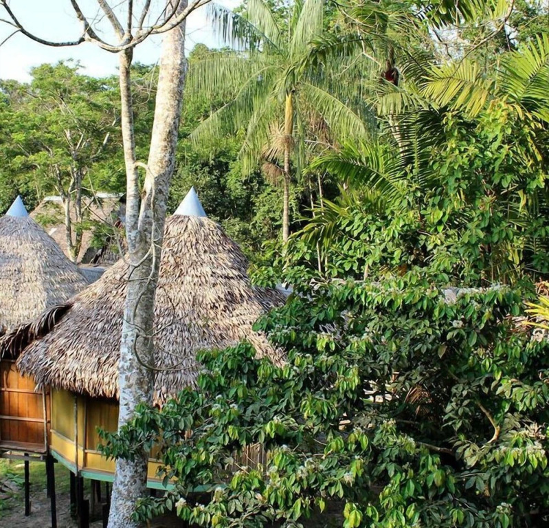 Cumaceba Amazon Lodge
