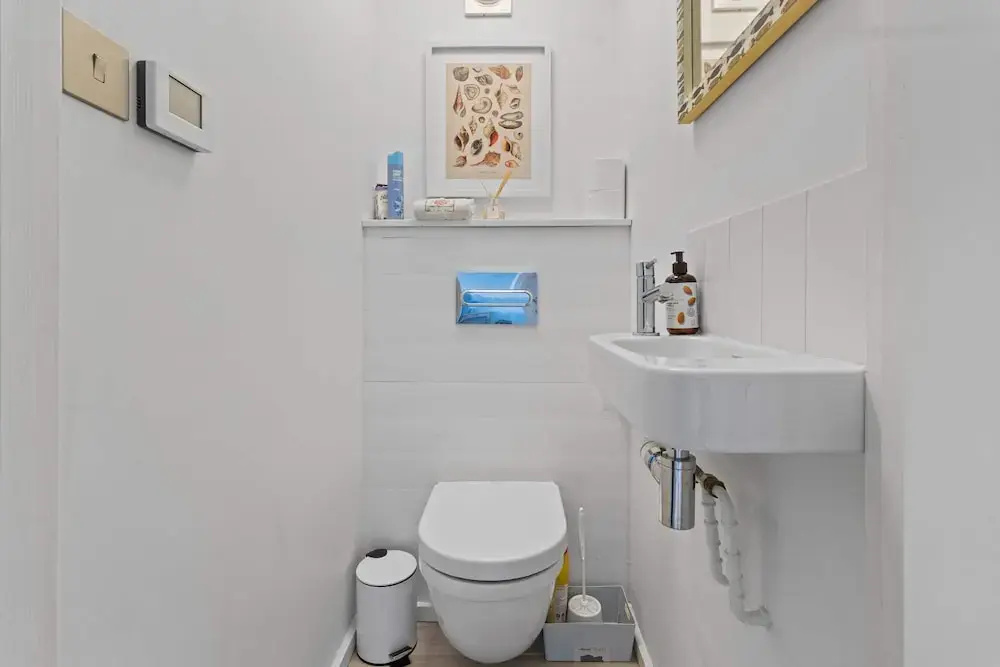 Seashells-stylish Coastal Living