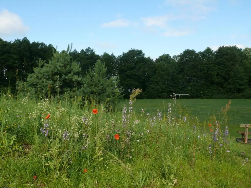 Villa Mamry