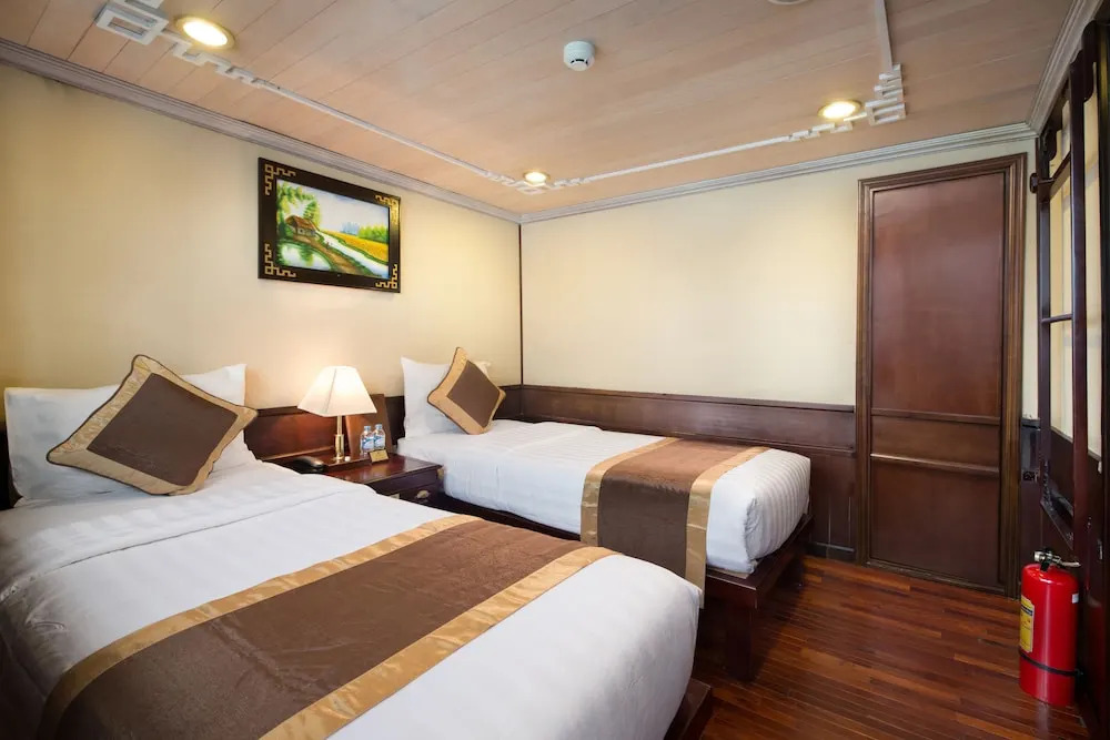 Apricot Premium Cruise