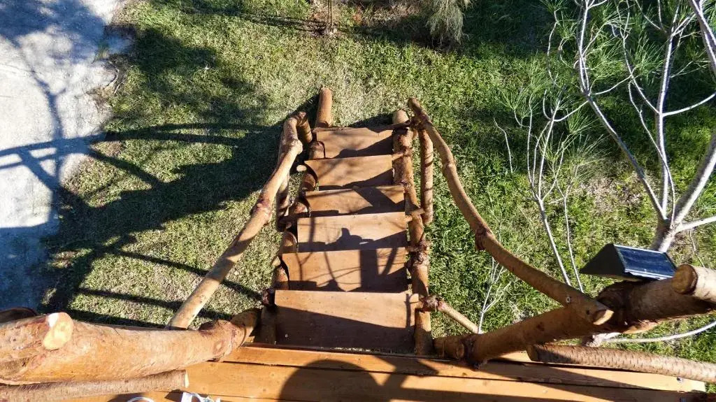Ionian Treehouse Ecohosting Cuckoo's nest