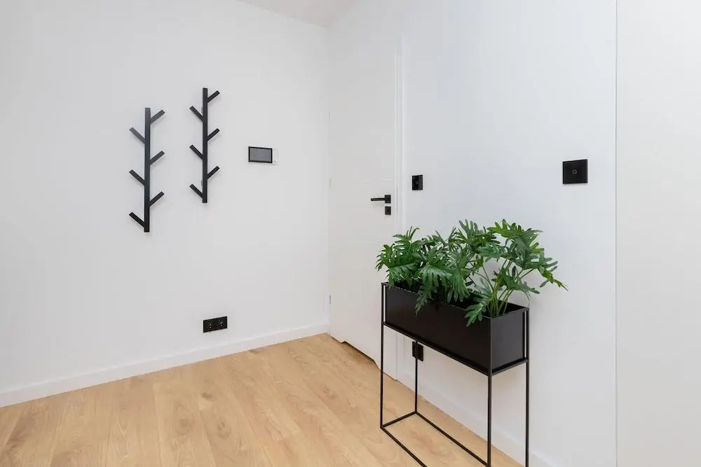Butterfly Apartment by Renters