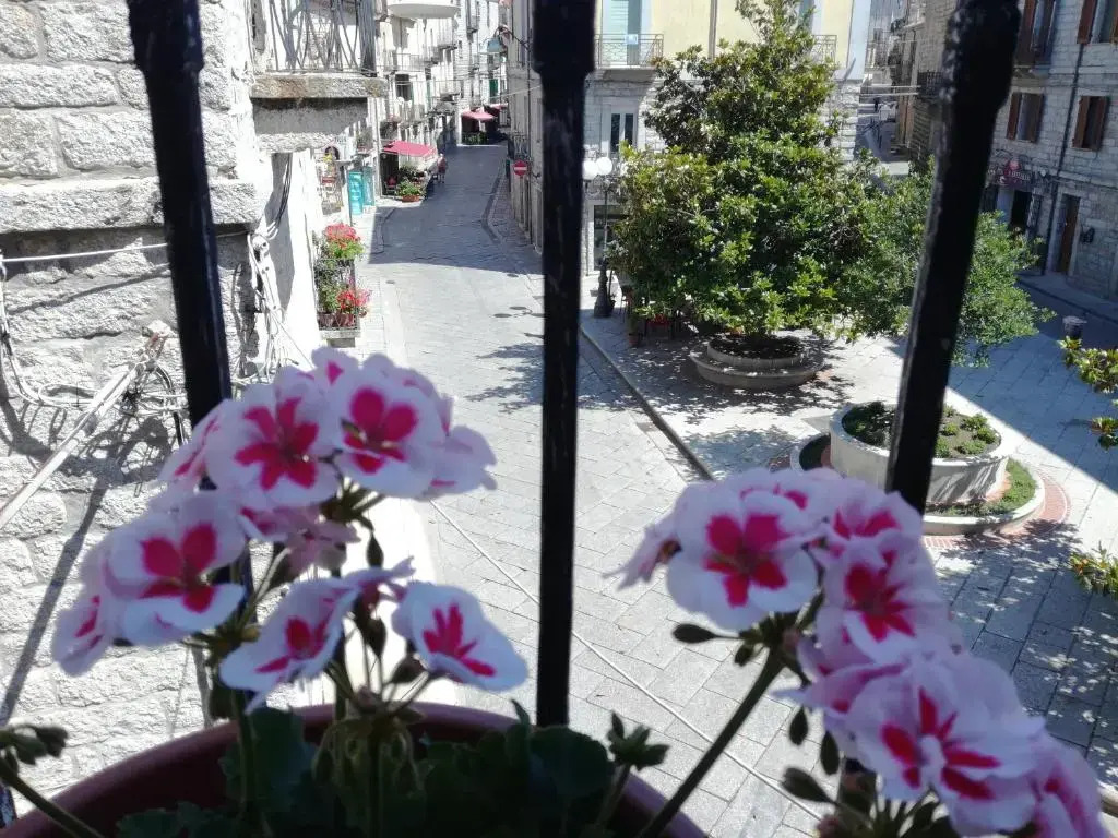 B&B Piazza di LAra