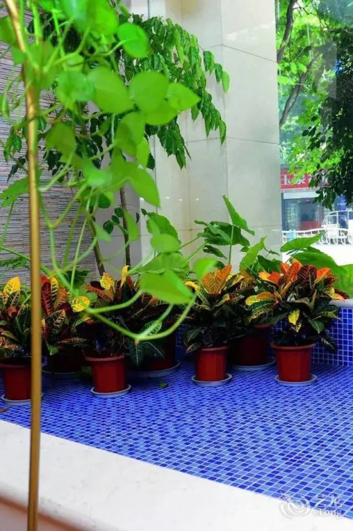 Zhengyu Business Hotel