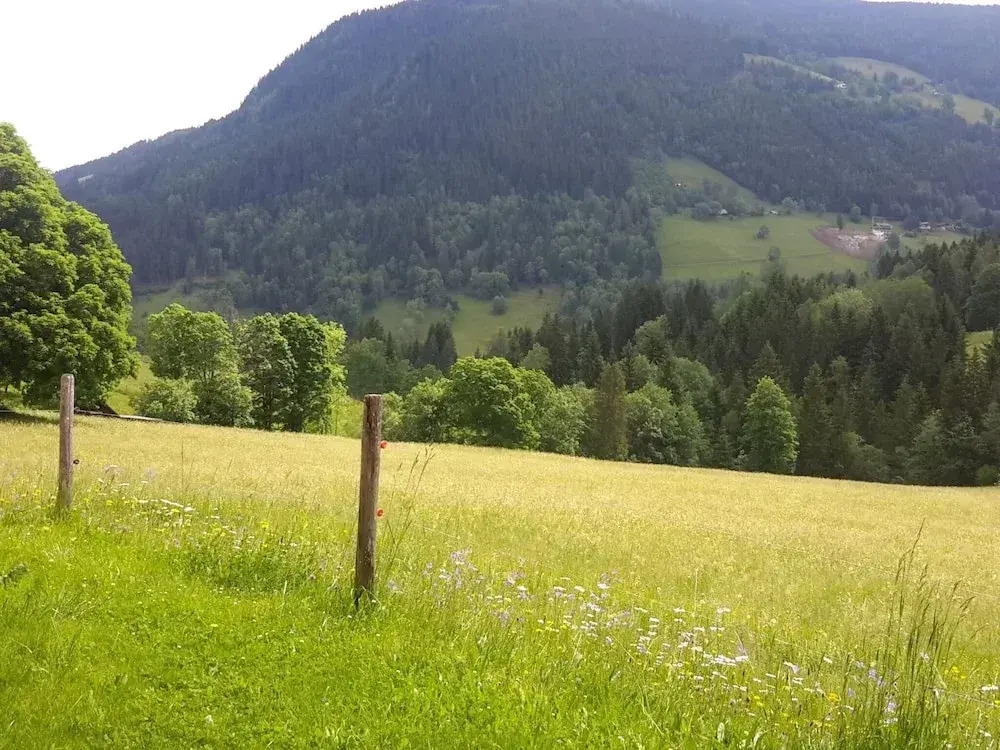 Geräumige Unterkunft in Schladming mit Sauna