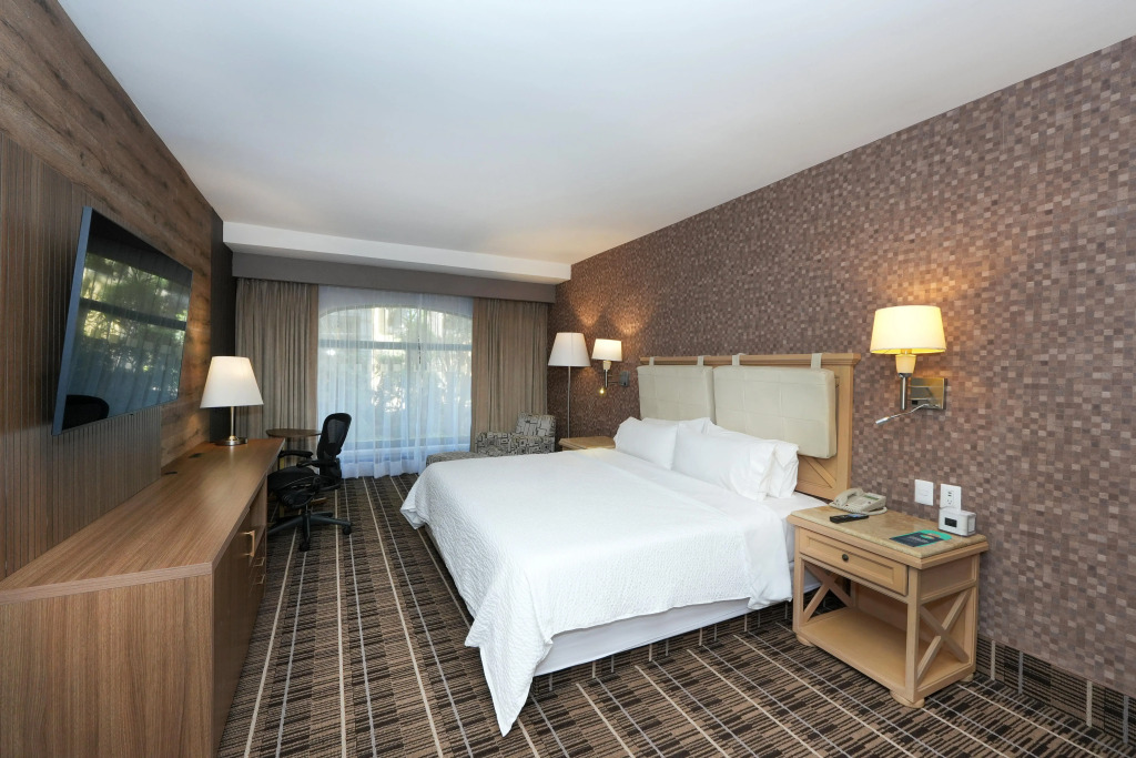 Holiday Inn Queretaro Centro Historico by IHG