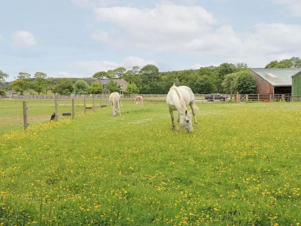 Bullace Barn