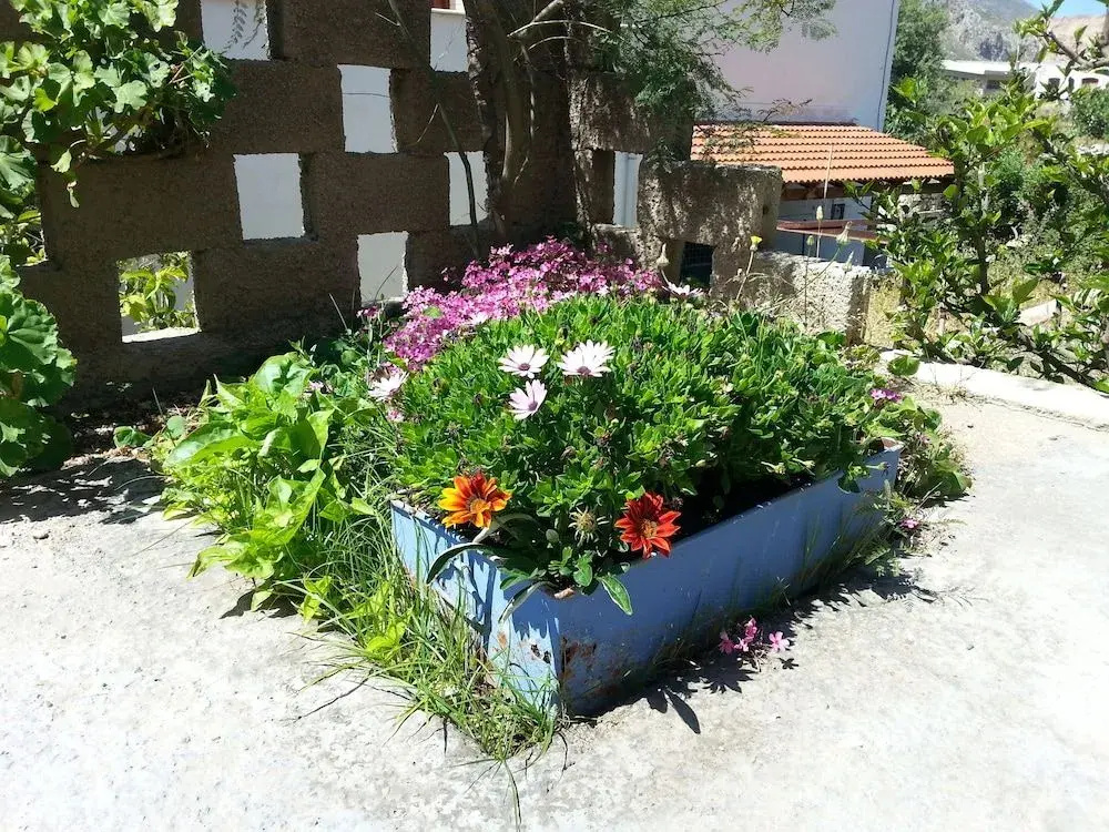 Pizania