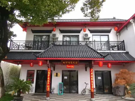 Shanghai Wisdom Hostel Under the Tree