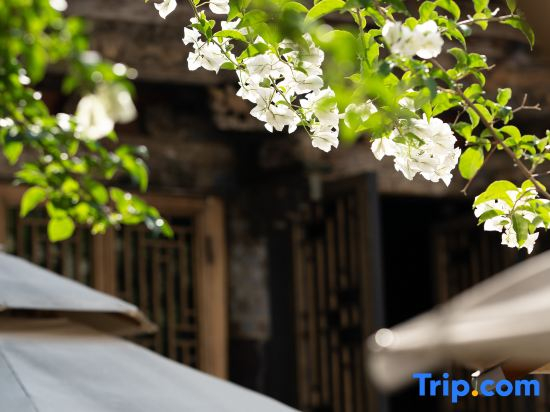 Ting Zi Yun Resort