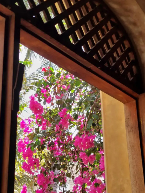 Samaki House