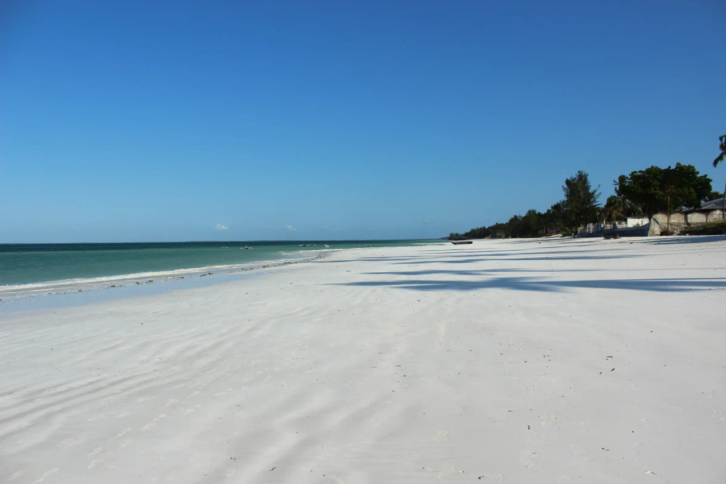 JAZ Adonia