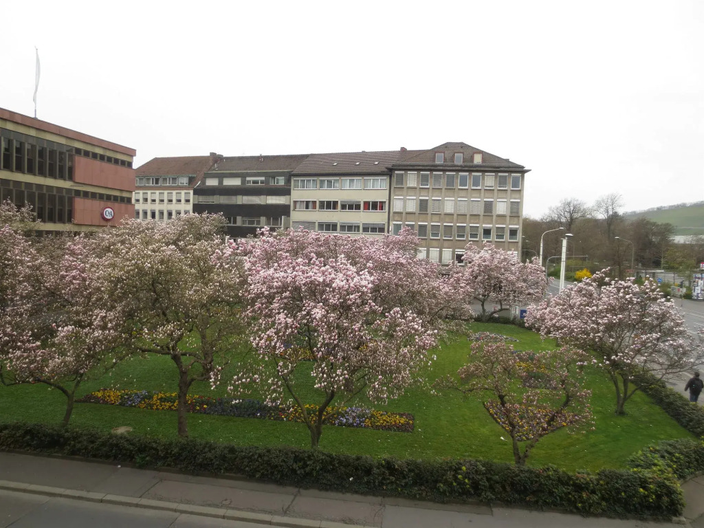 Hotel Regina