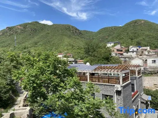 Miaofengshan Songpeng Tea House B&B