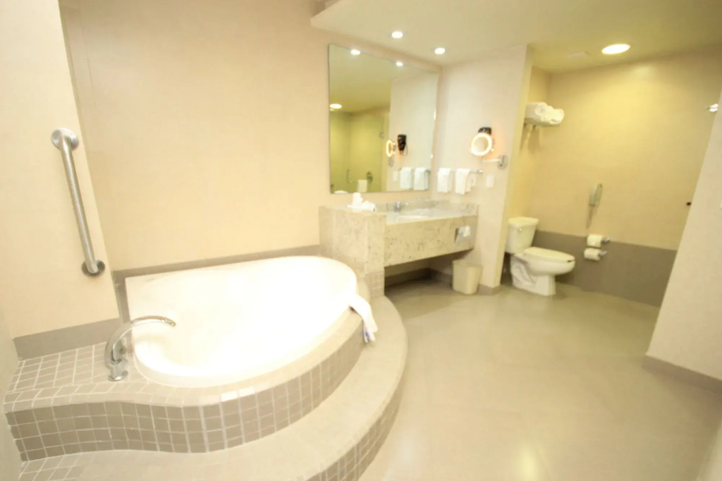 Crowne Plaza Leon by IHG