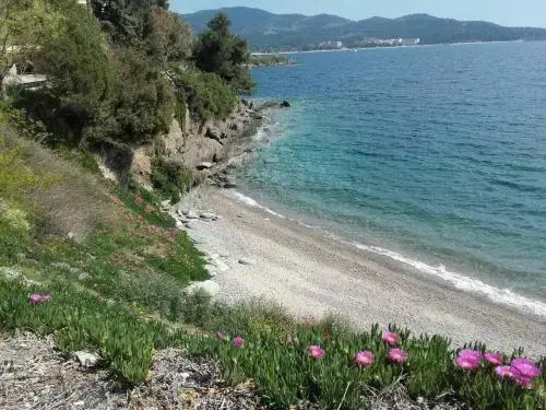 Flat 2 bedrooms 1 bathroom - Neos Marmaras