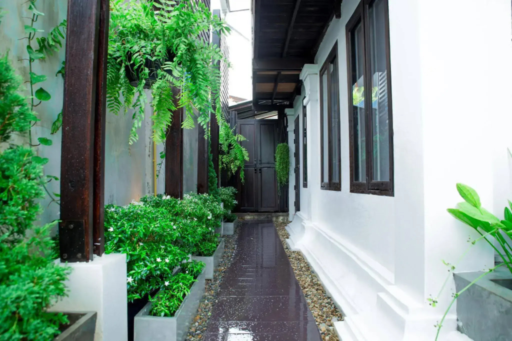 The White House Rachamankha