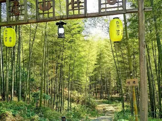 Life in Mountains