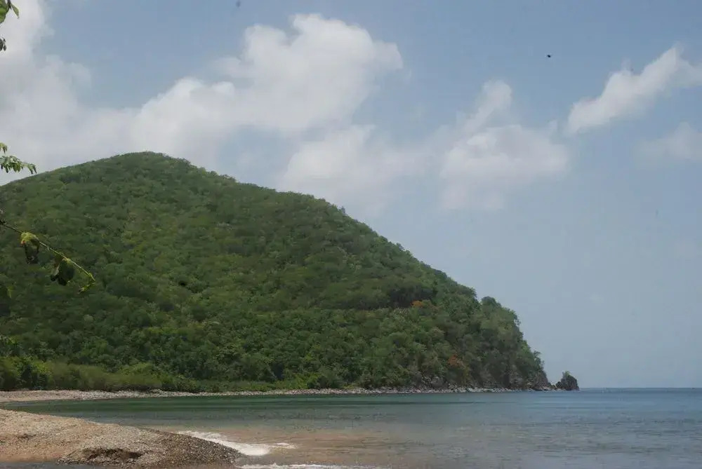 Bungalow PAPAYE