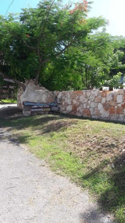 Iguana Rana Cabins Bacalar