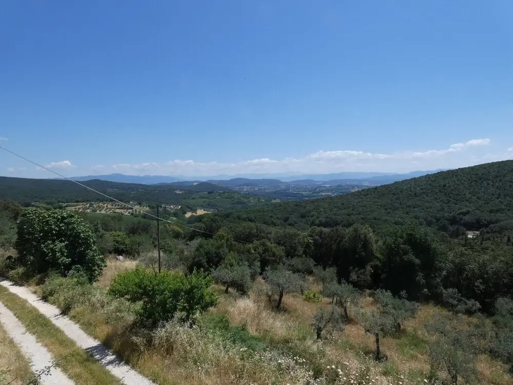 SCAPPO IN UMBRIA, Il Vicoletto