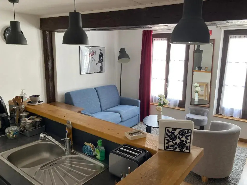 T3 duplex hyper centre ville historique troyes