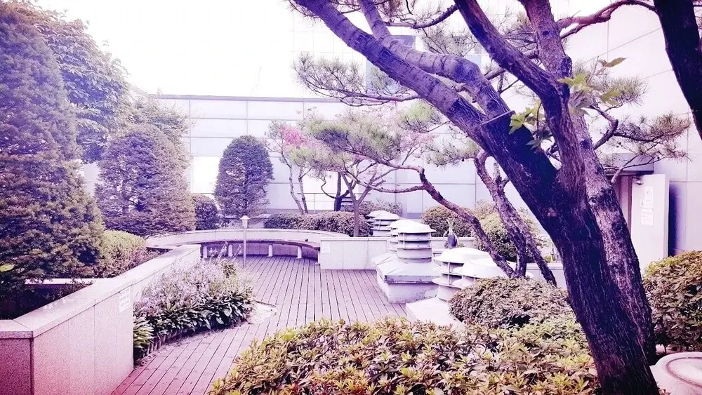 Sheraten House with Rooftop Garden