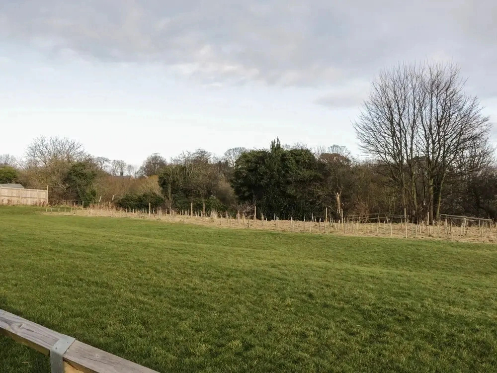 Woodside View