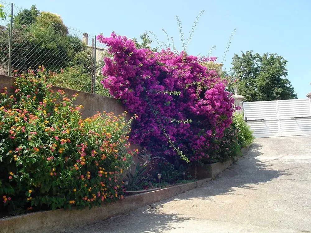 Studio in Furiani, With Pool Access, Enclosed Garden and Wifi - 4 km From the Beach