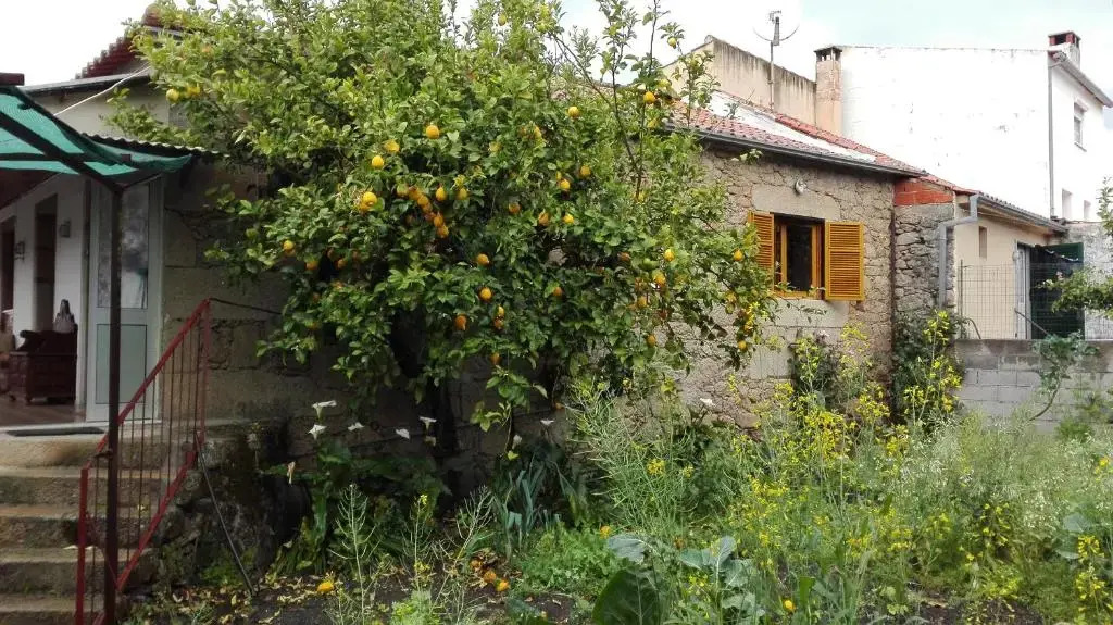 Casa da Rosa