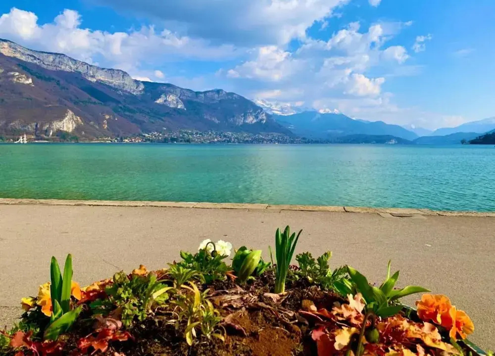 Charming Savoyard Apartment