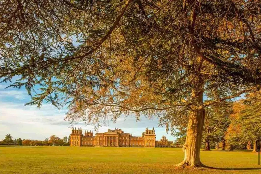 Oxfordshire Living - The Churchill Apartment - Woodstock