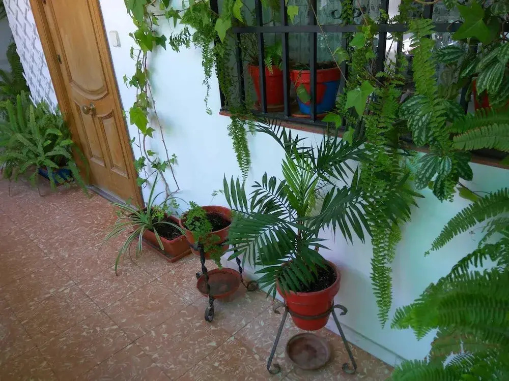 Casa Patio La Magdalena