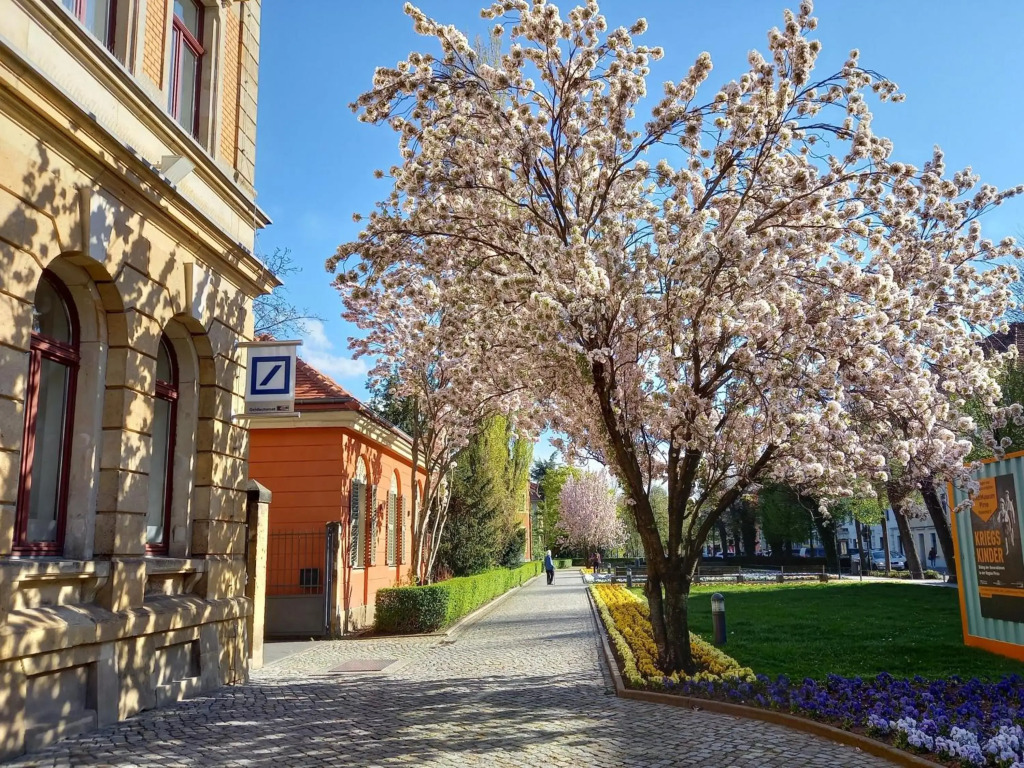 Ferienwohnung Xenia